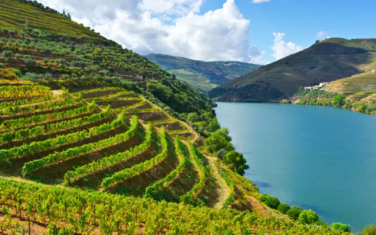 What is the best Douro River Cruise